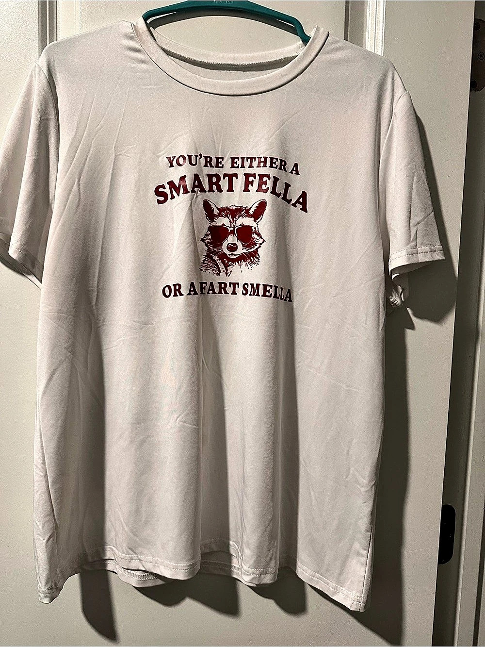 Shein Smart Fella or a Fart Smella Raccoon T-Shirt White